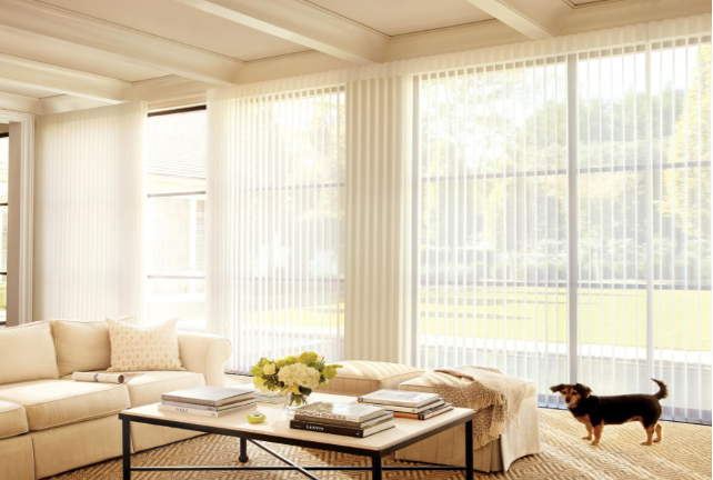 bright living room with open sheer blinds.